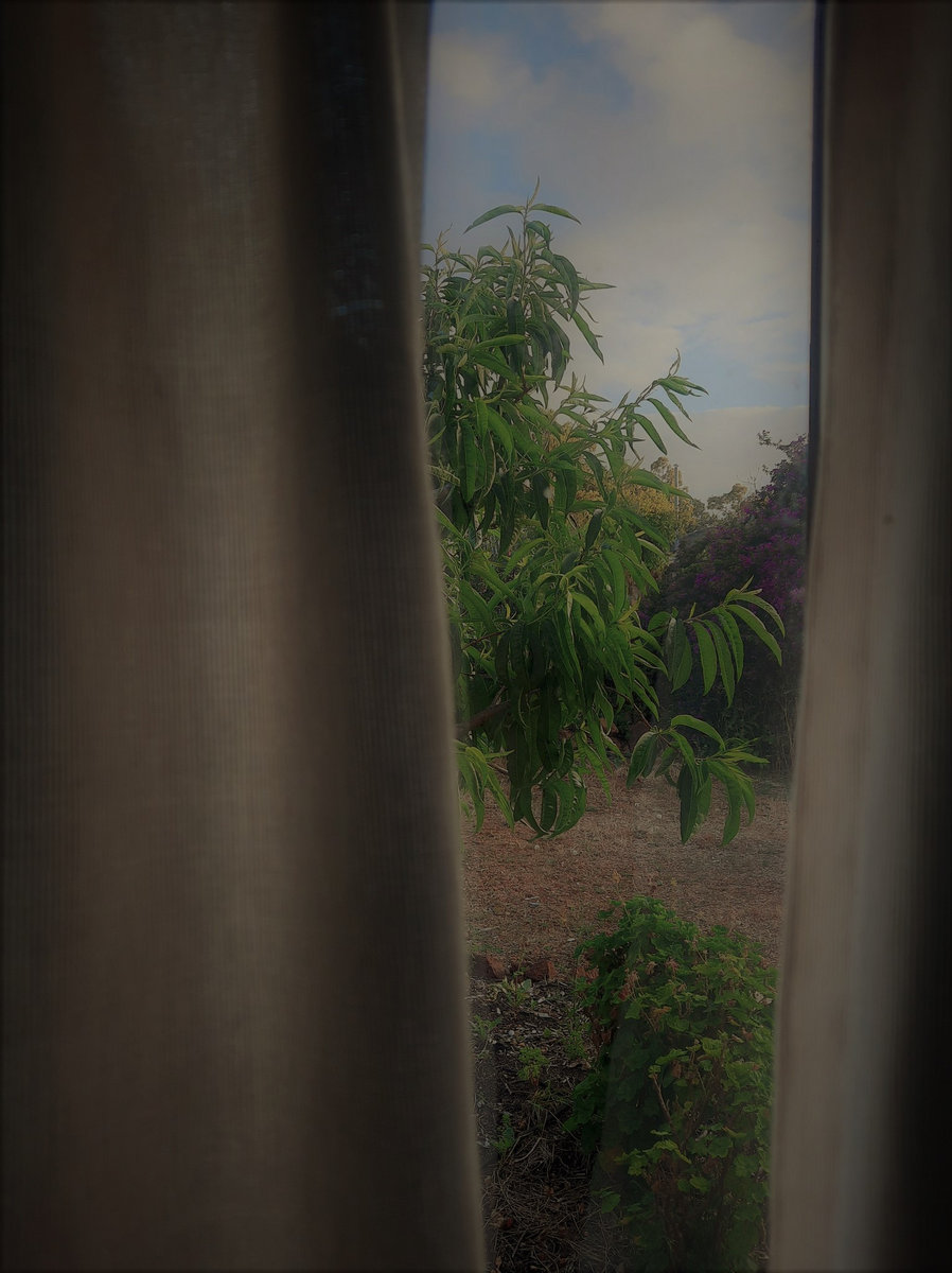 Salvador Sanchez Sun Kil Moon Drew Woolley drew woolley bandcamp