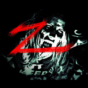 Z cover