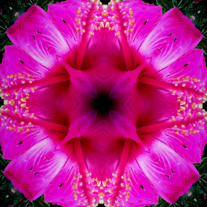 Music For Moving Meditation Feet First Dance Meditation