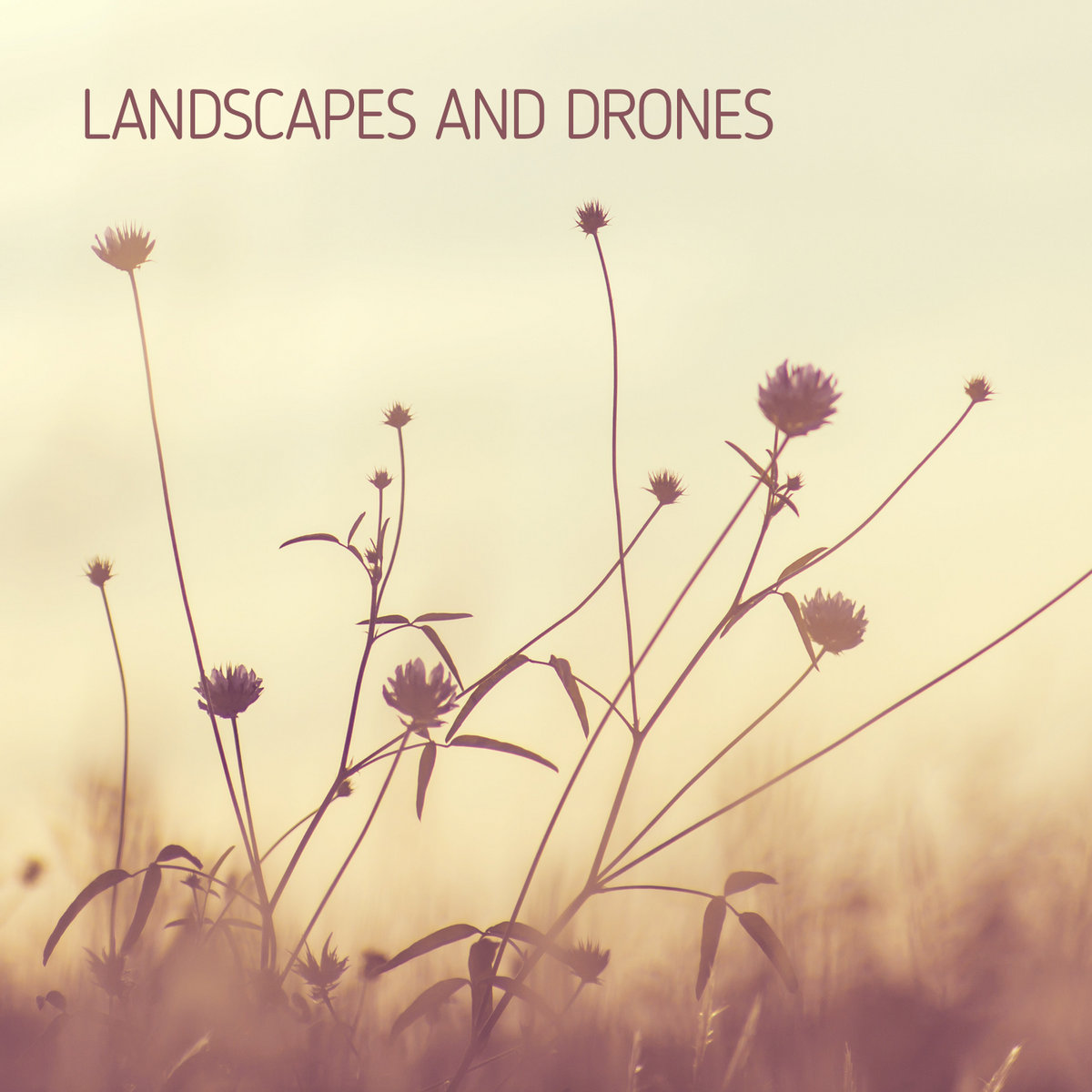 Portada de Landscapes and Drones
