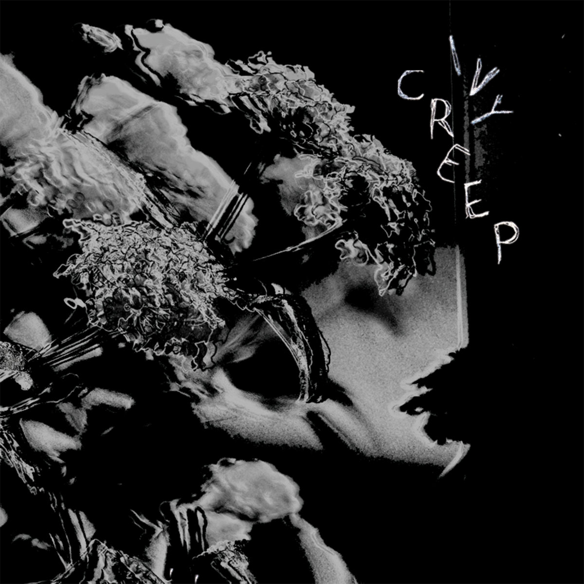 Demo 24 | Ivy Creep | 11 PM Records