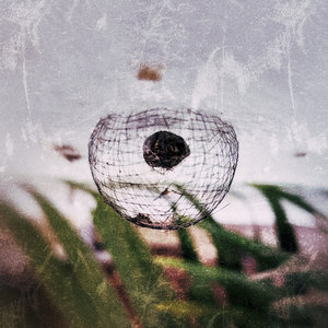 In vitro cover