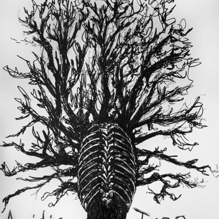 Demo Tape | Acidic Tree