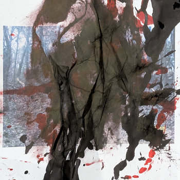 Cover of Jester's Labyrinth