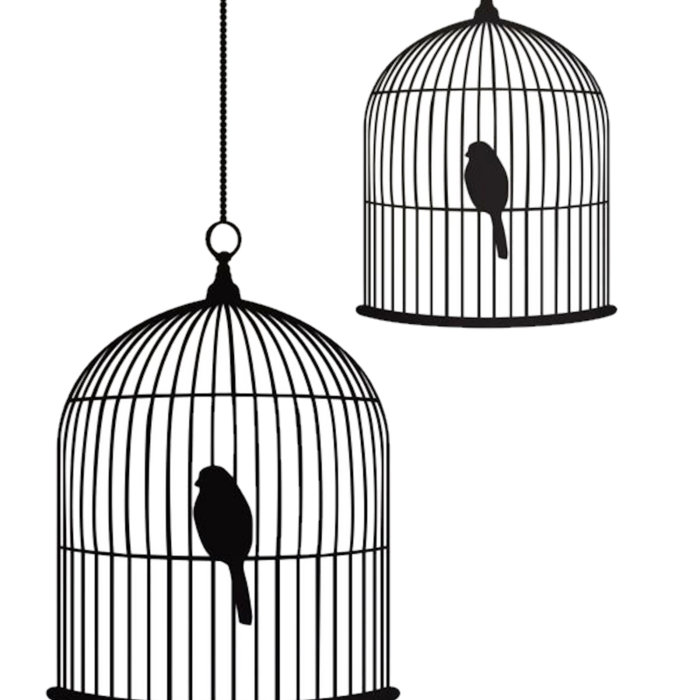 Safe and Free, by Jude Roberts