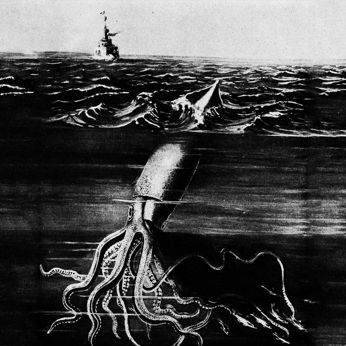 The Monster of the Deep | N0123NOISE | Nature Noise Wall