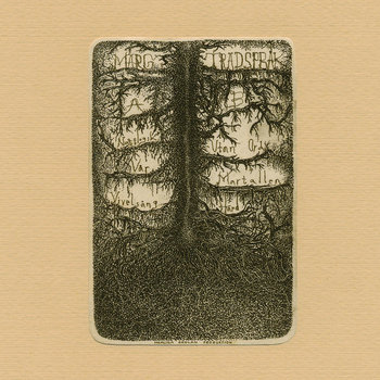 Trädspråk cover art
