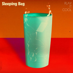 Play It Cool cover