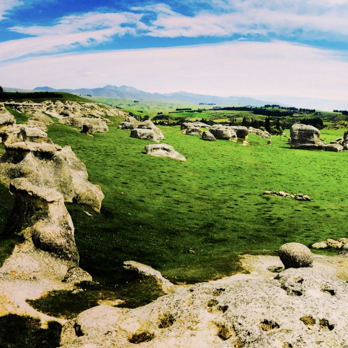 You Are Here The Dunedin Electric Company.