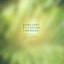 Sunlight Filtering Through cover art