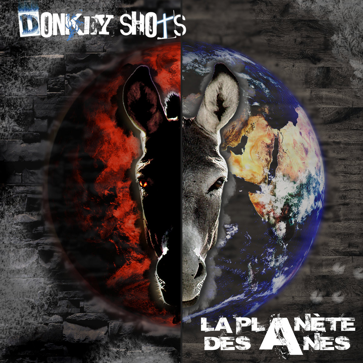 La Planète des Ânes Donkey Shots