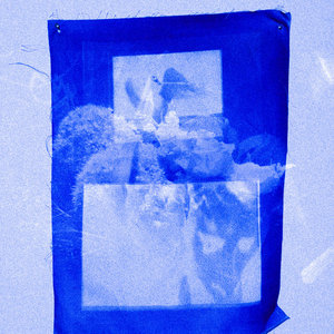 Plastic Stars cover