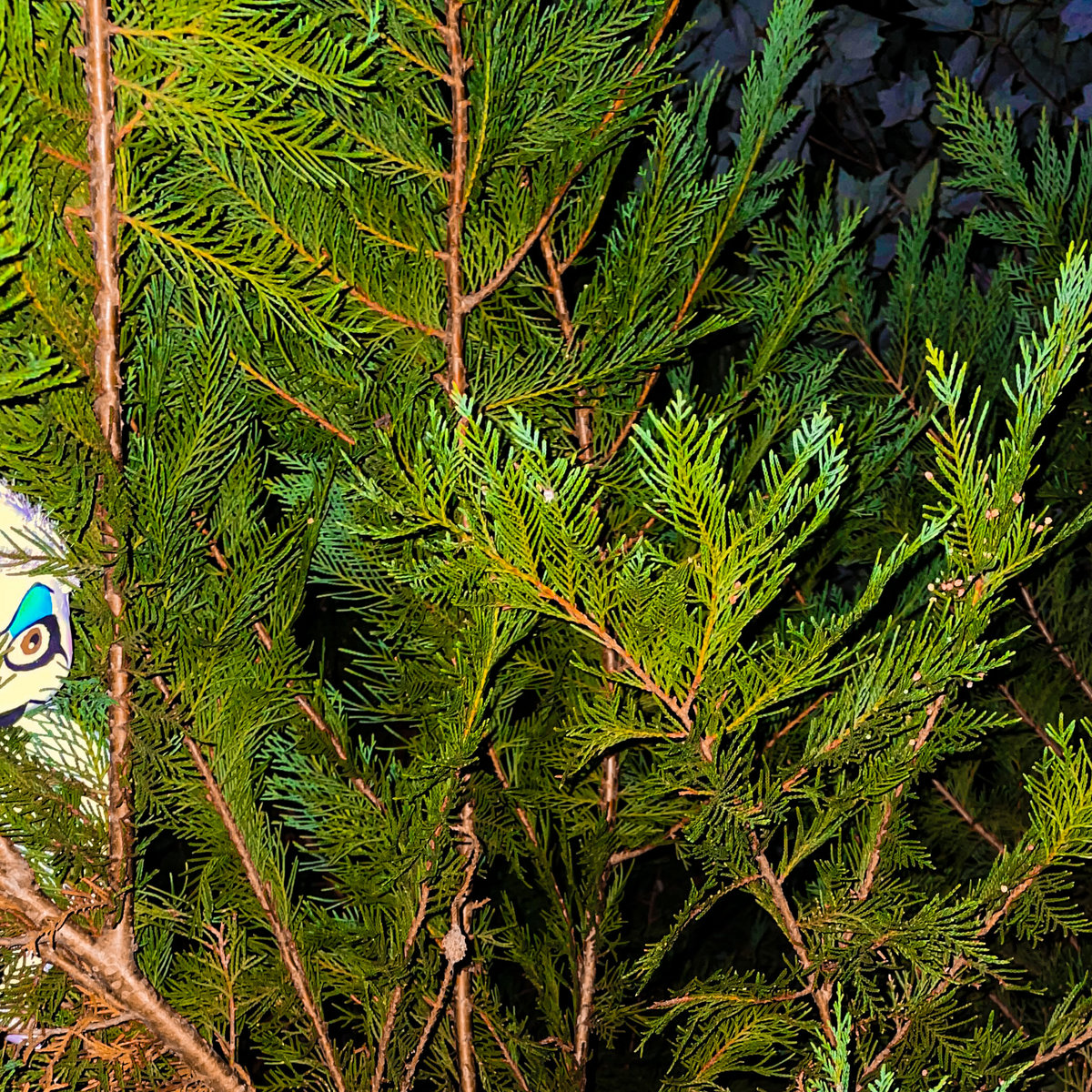 Lilac Rust SONGS FOR THE SOUNDS A CLOCK MAKES TWO | Lilac Rust