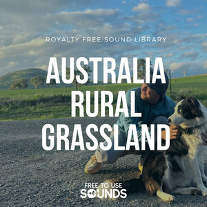 Rural Dawn Chorus Ambience Australia cover