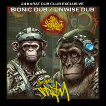 Bionic Dub / Unwise Dub cover art