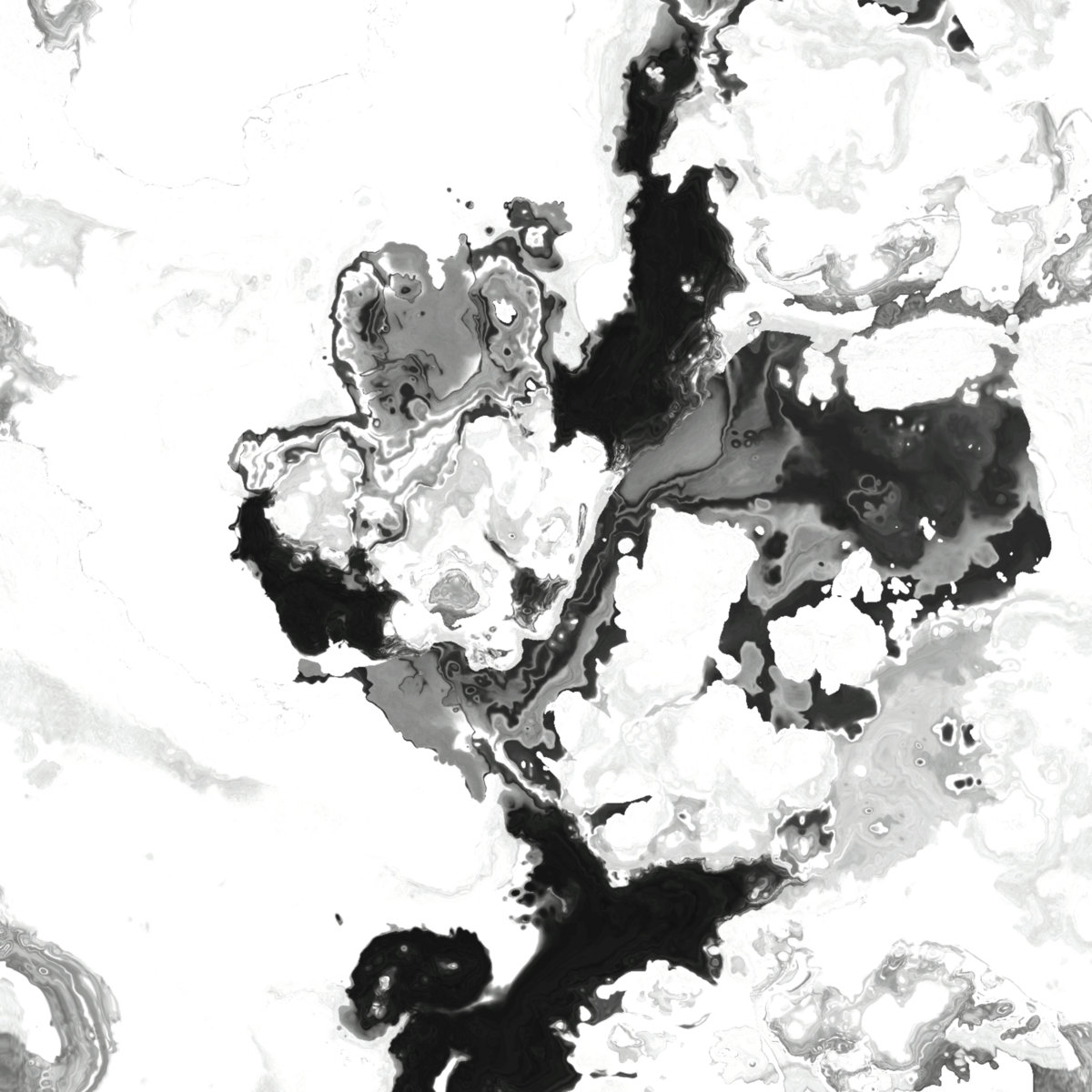 Feedback Loops 1 cover