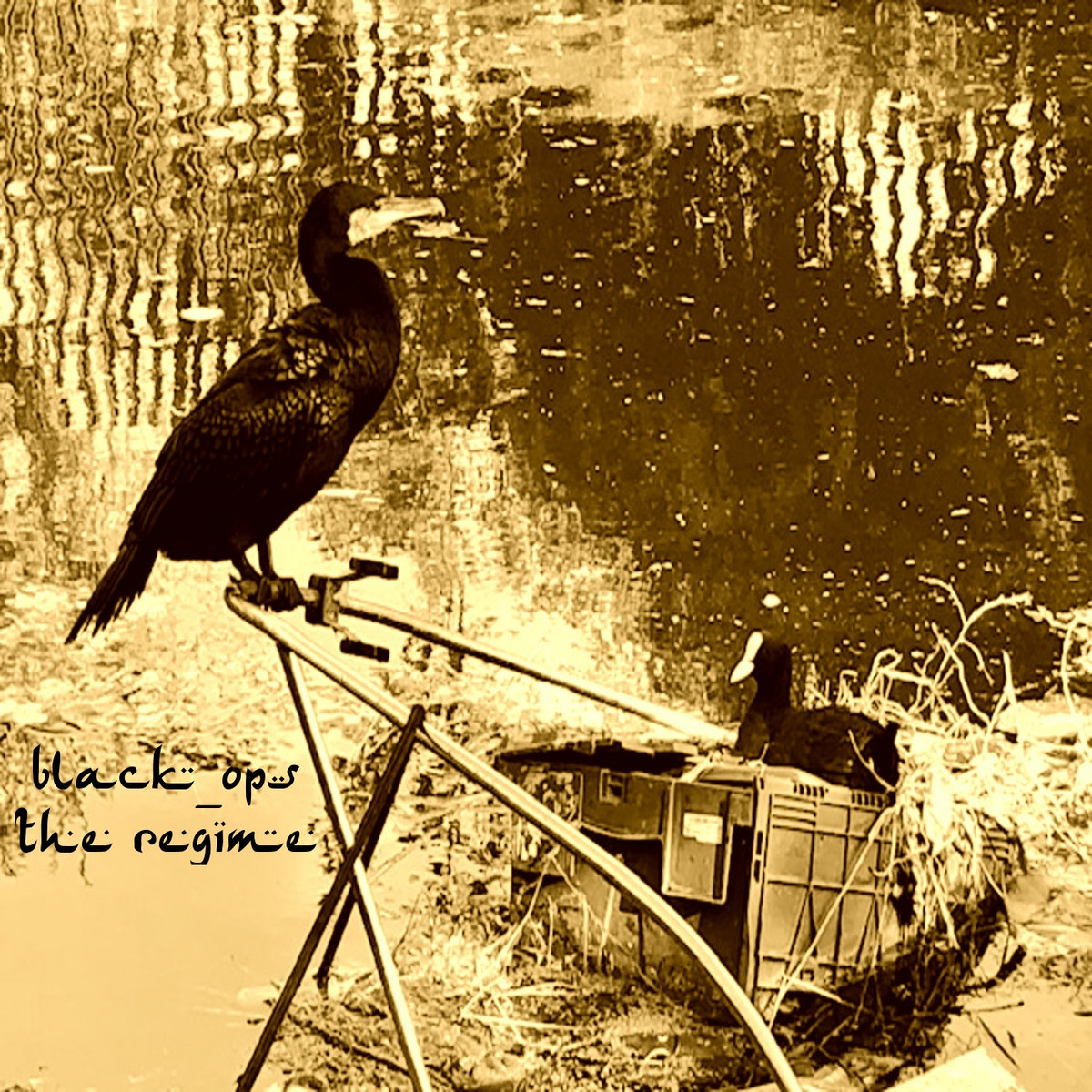 Regime Regimen Regiment Regime Regimen Regiment