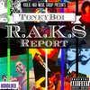R.A.K.S. Report Cover Art