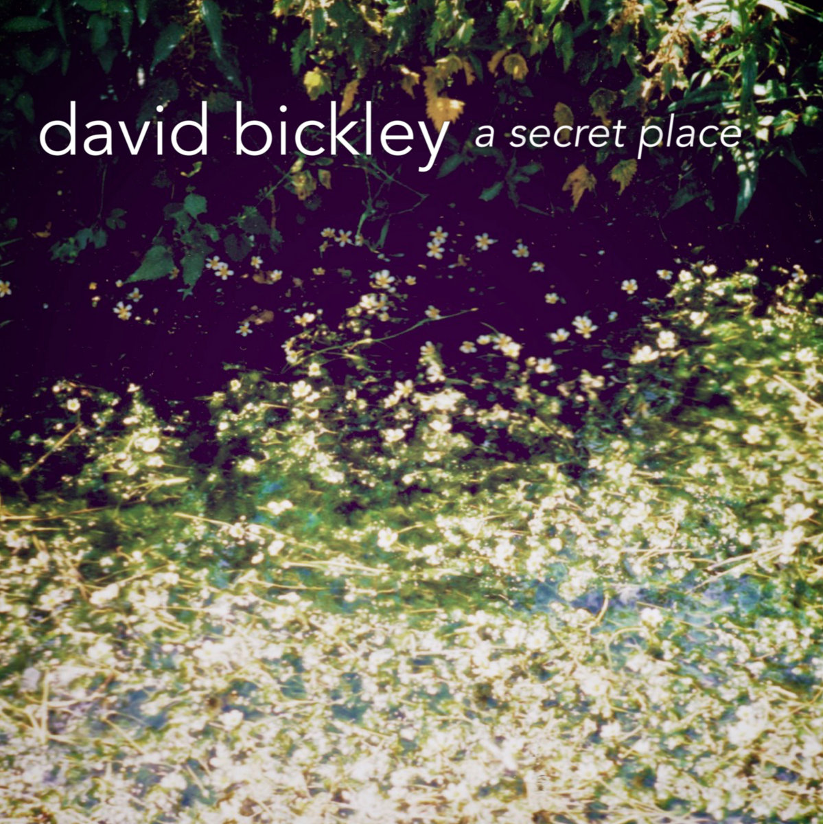A Secret Place cover