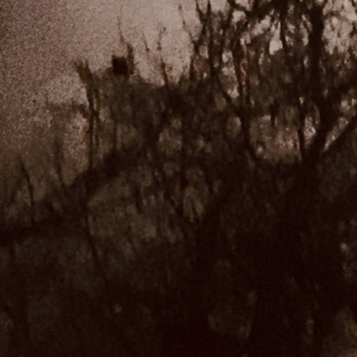 running into the woods, dying in fetal position i chased a crow