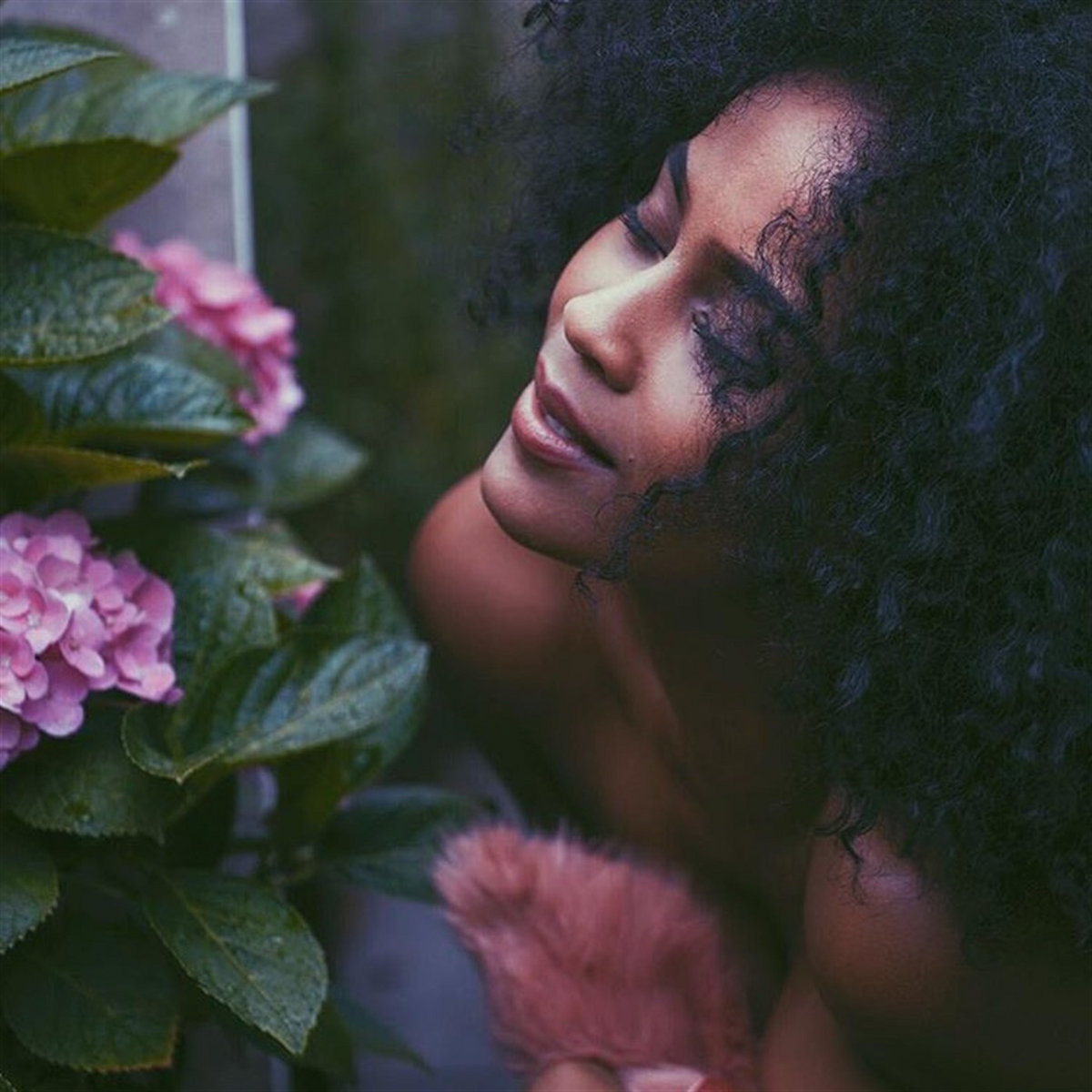 Image result for iamddb