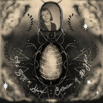 The Book of Stars: Collection of the Heir