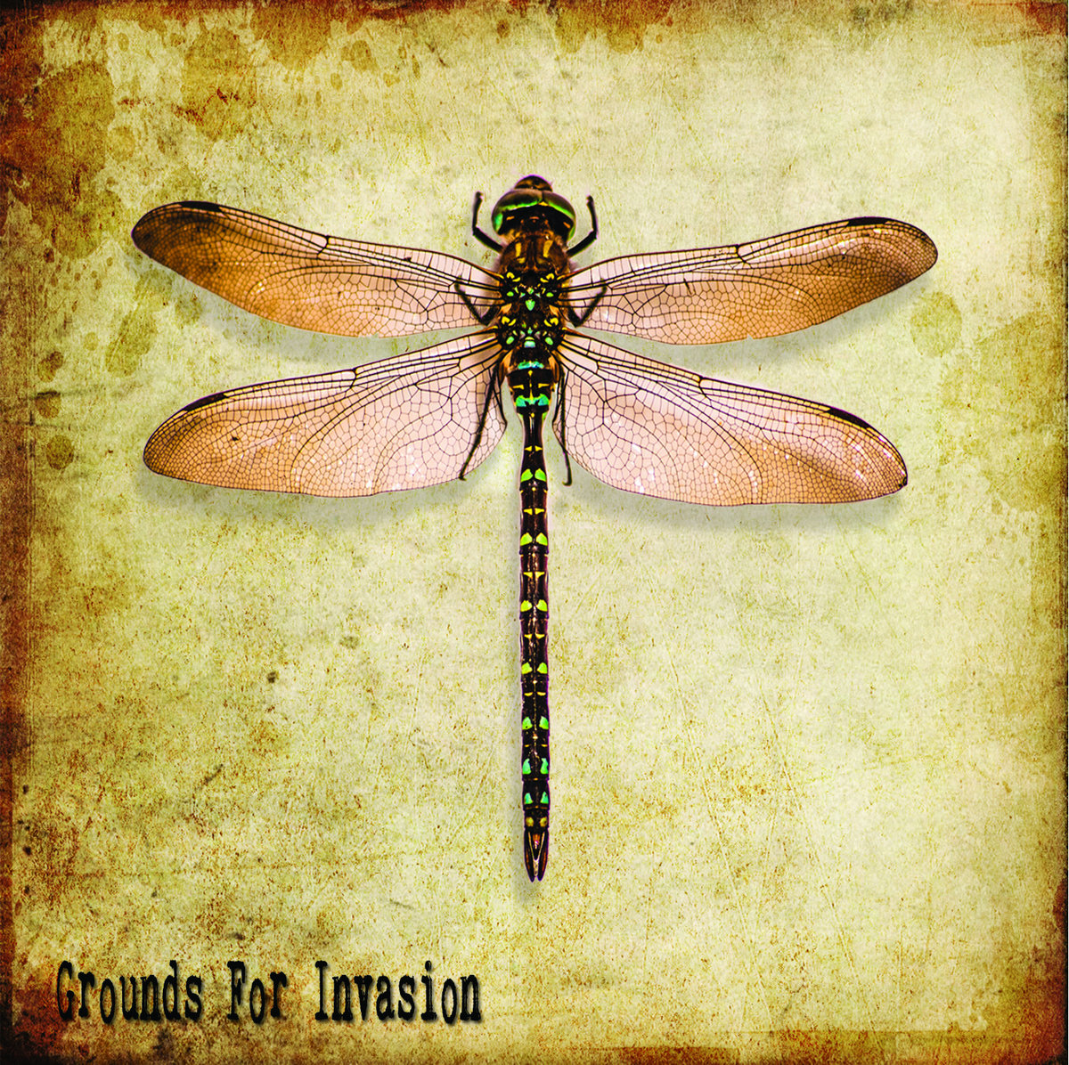 Grounds For Invasion EP cover