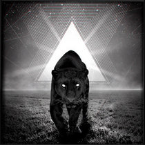 Animalistic cover art