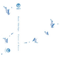 Flavor Of Water cover art