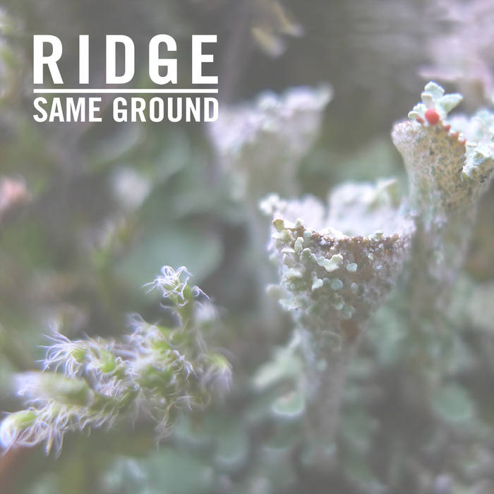 Same Ground, by Ridge