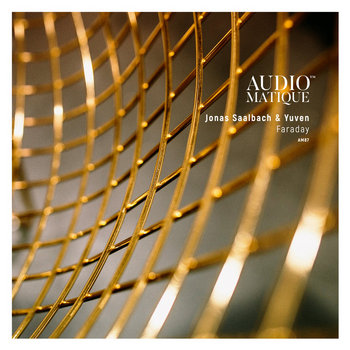 ADULTNAPPER - Audiomatique, Vol. 2.3: The Remixes [Vinyl