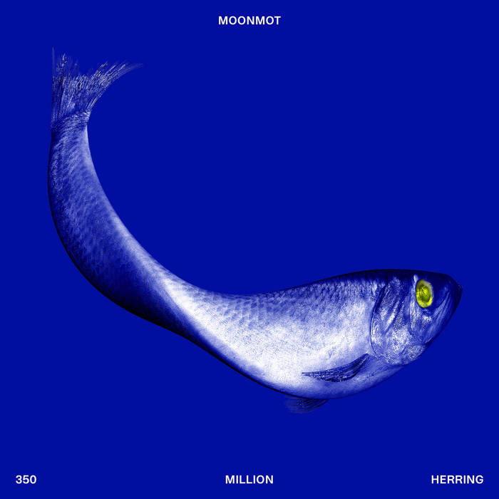 350 Million Herring
by MoonMot