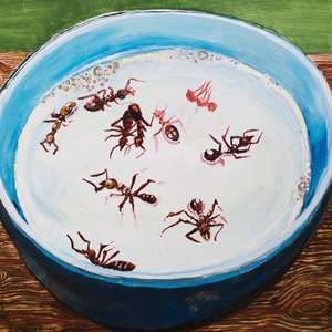 Ten Dead Ants / Peter MilkDead Tenants / Drome cover