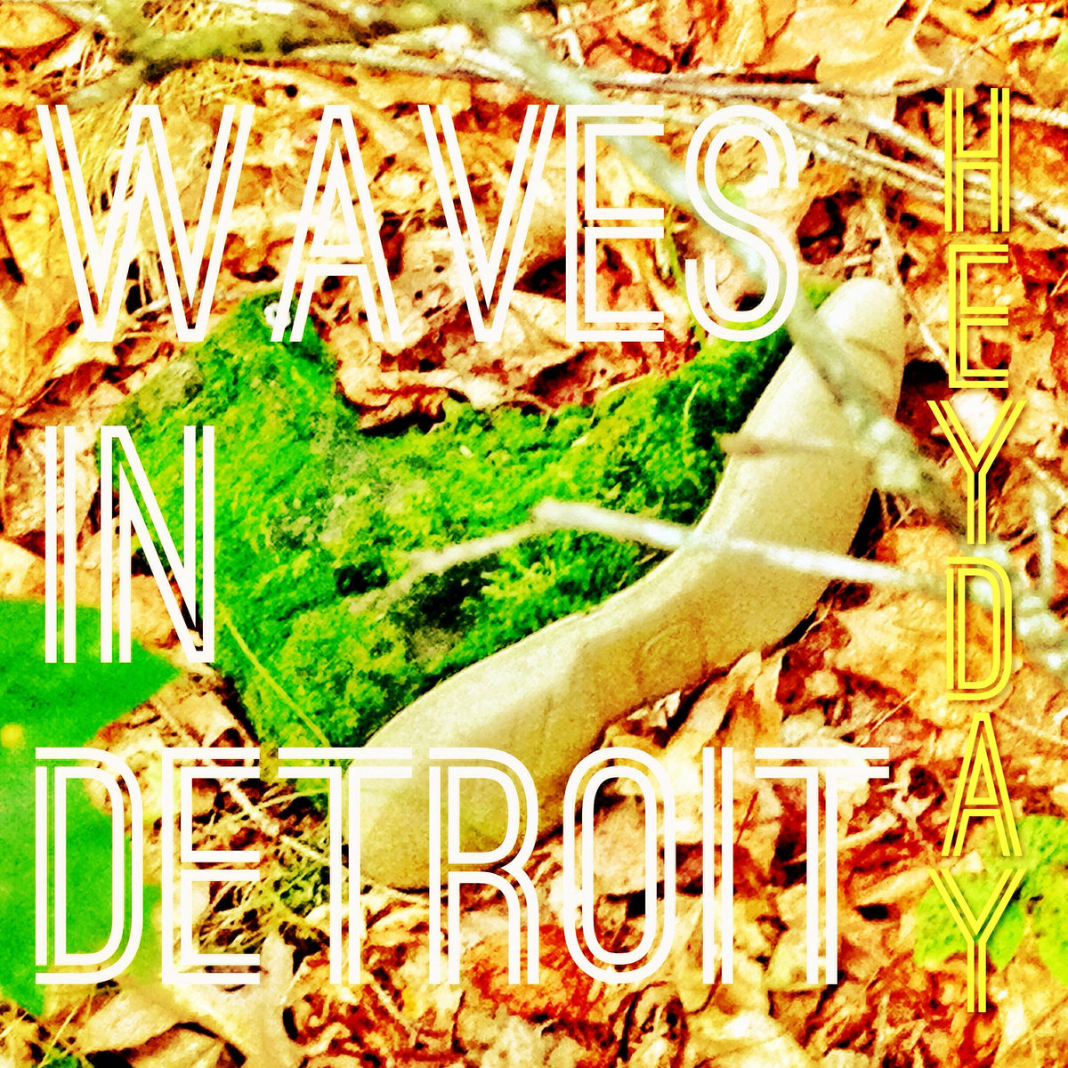 Heyday Waves in Detroit Waves In Detroit
