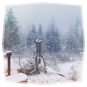 Last Winter cover