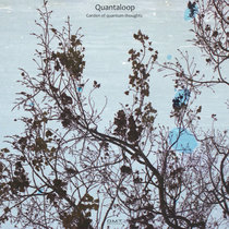 Garden of quantum thoughts cover art