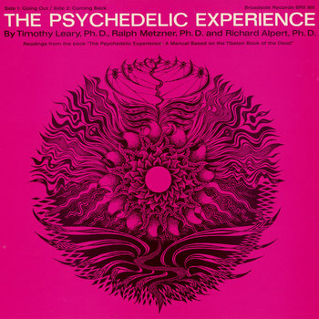 Album artwork for The Psychedelic Experience