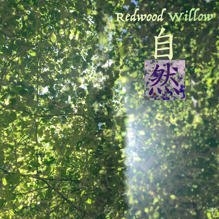 Shizen 自然 | Redwood Willow