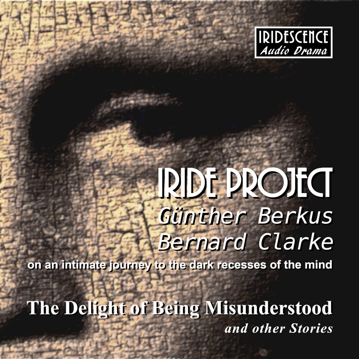 THE DELIGHT OF BEING MISUNDERSTOOD and Other Stories cover