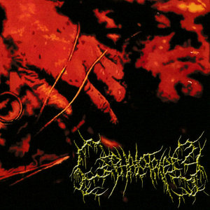 Cephalotripsy — Demo 2006