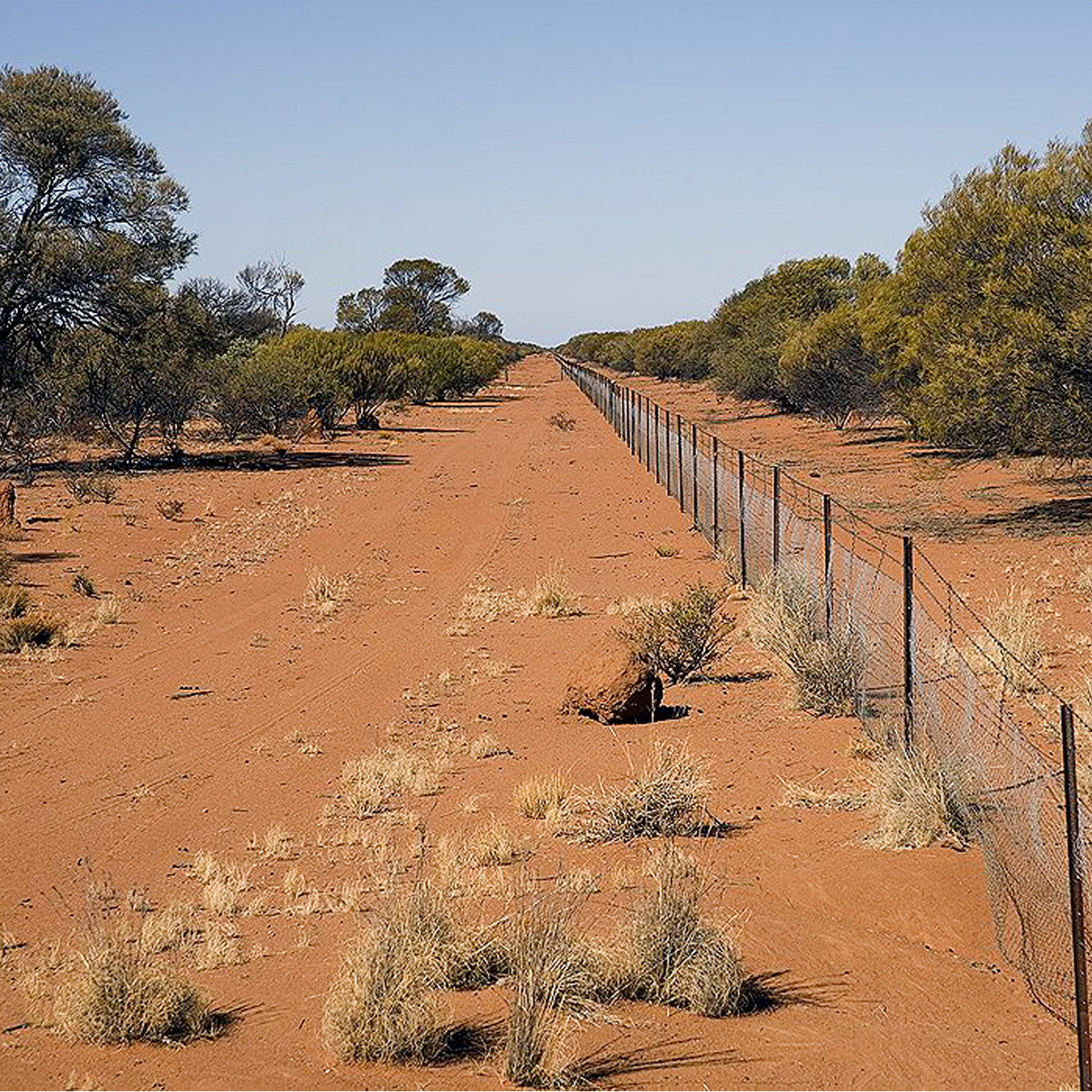 The Rabbit Proof Fence Roy Griffiths