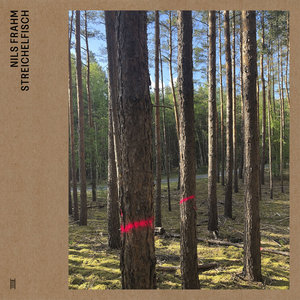Nils Frahm — Streichelfisch