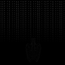 Bag of Bones cover art