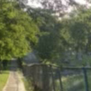 within the field of awareness cover