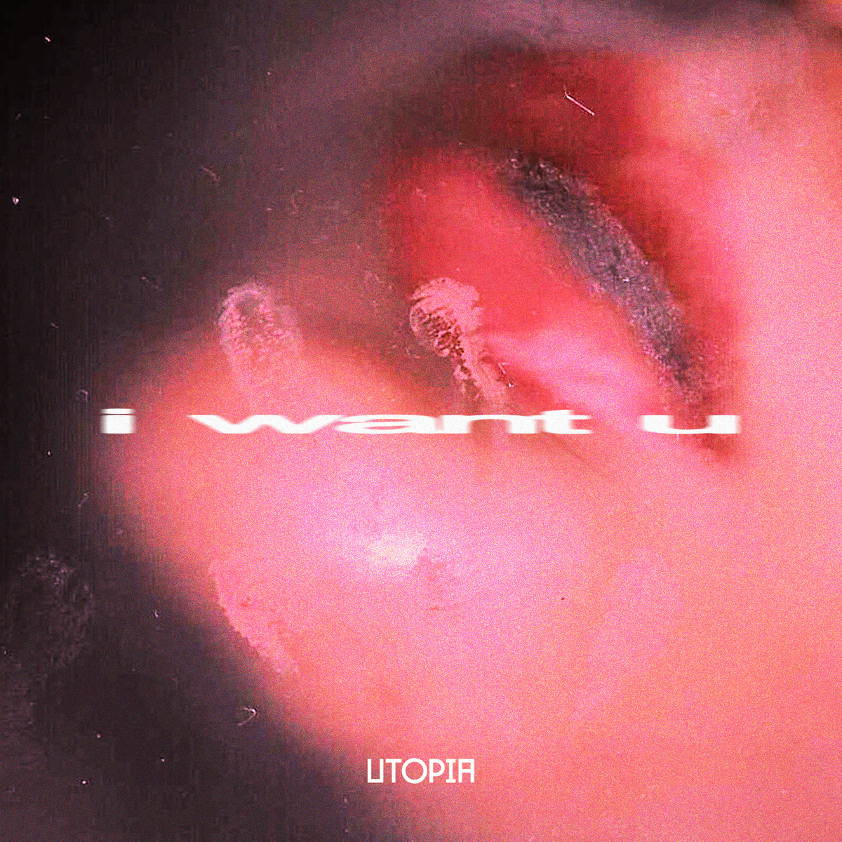 i want u | Kiimi