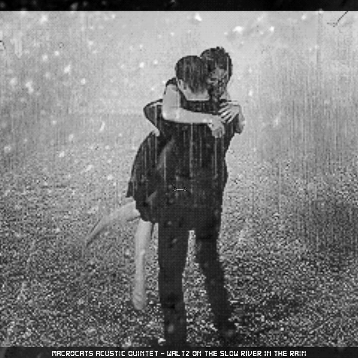 Waltz On The Slow River In The Rain Macro Cats