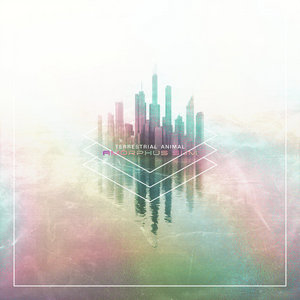 Terrestrial Animal — Amorphous Sum (Redux)