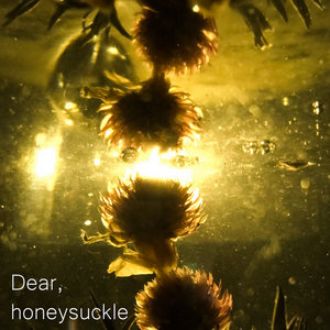 Dear, cover