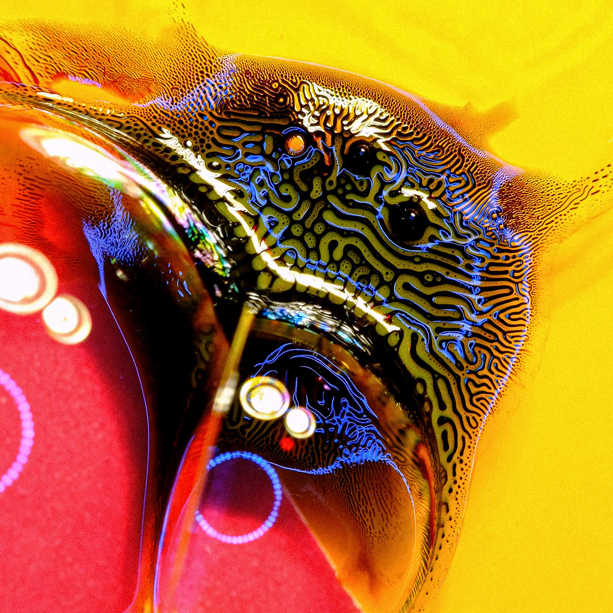 その他 Artbeats Dolphins mqdefault.jpg