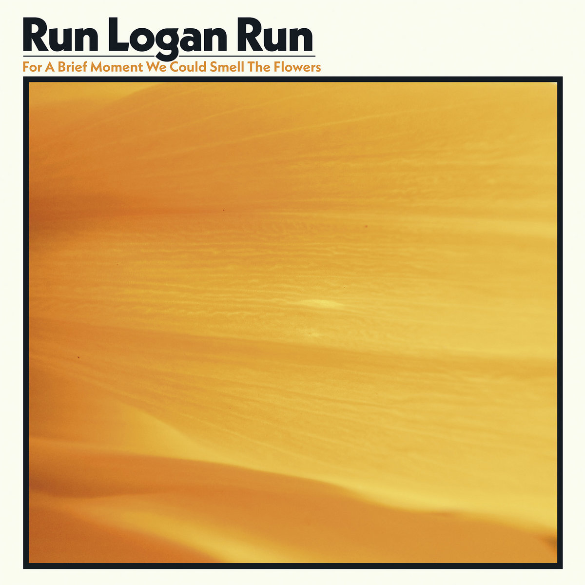 For A Brief Moment We Could Smell The Flowers by Run Logan Run